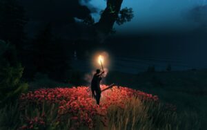 Valheim night